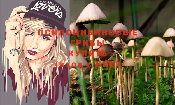 винт Алзамай