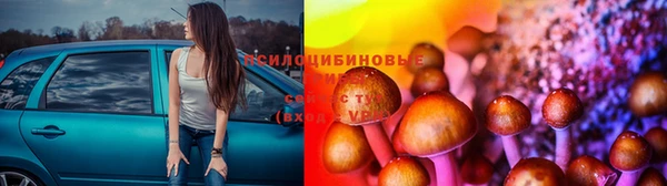 ECSTASY Алексин