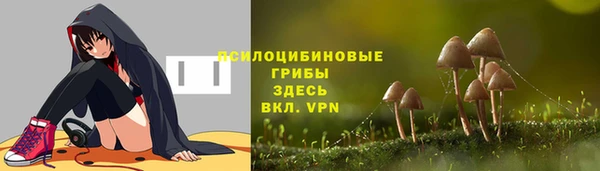 винт Алзамай