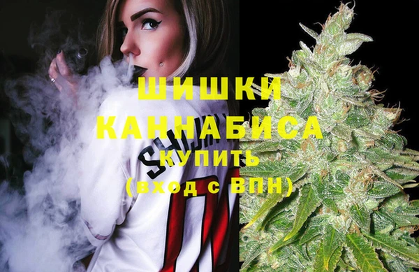 винт Алзамай